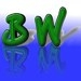BIW_Icon