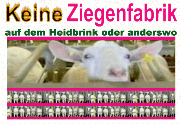 keine Ziegenfabrik!